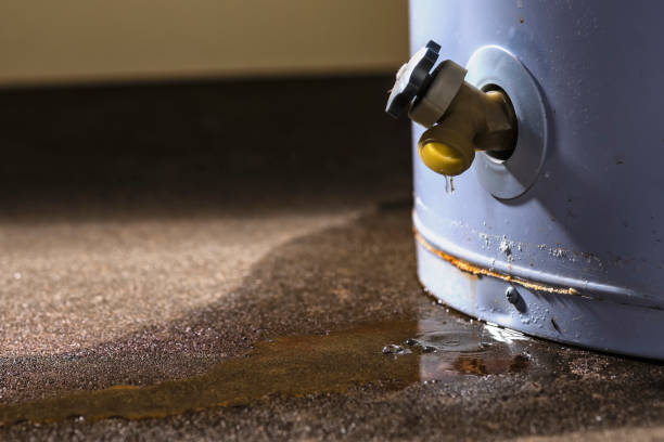 Best Local water damage restoration  in New Wilmington, PA