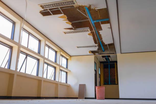 Best Water damage restoration near me  in New Wilmington, PA