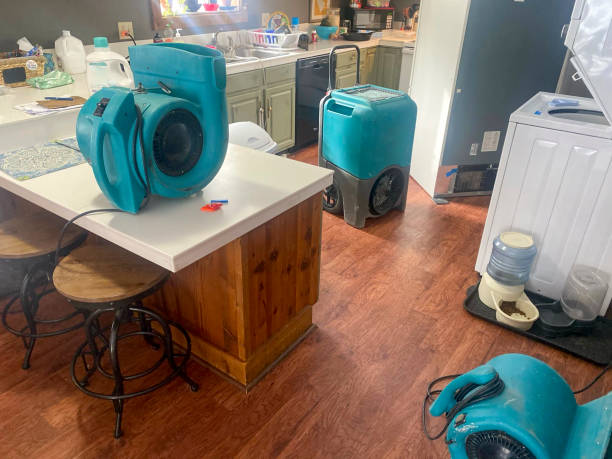 Best Water damage cleanup near me  in New Wilmington, PA