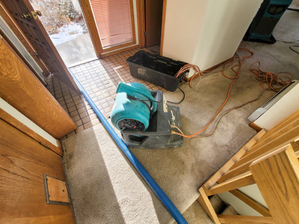 Best Professional water damage repair  in New Wilmington, PA