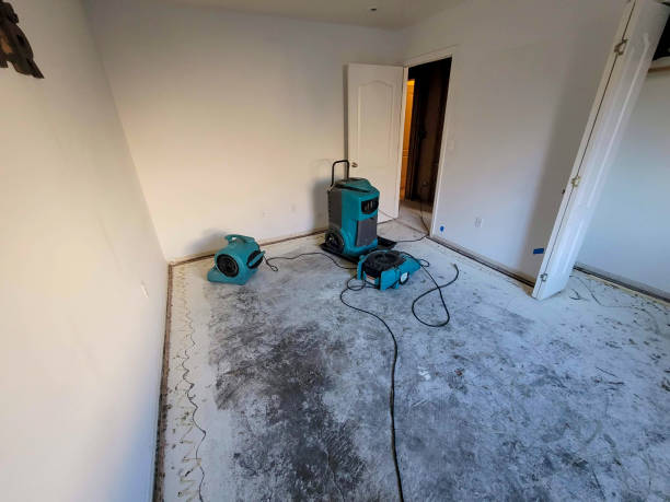 Best Water damage contractors near me  in New Wilmington, PA
