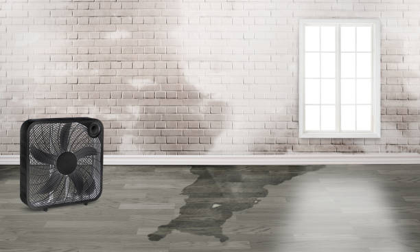 Best Fire Damage Restoration  in New Wilmington, PA