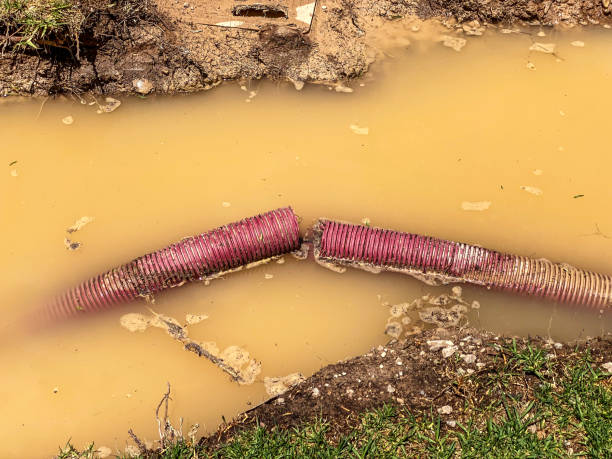 Best Flood damage cleanup  in New Wilmington, PA